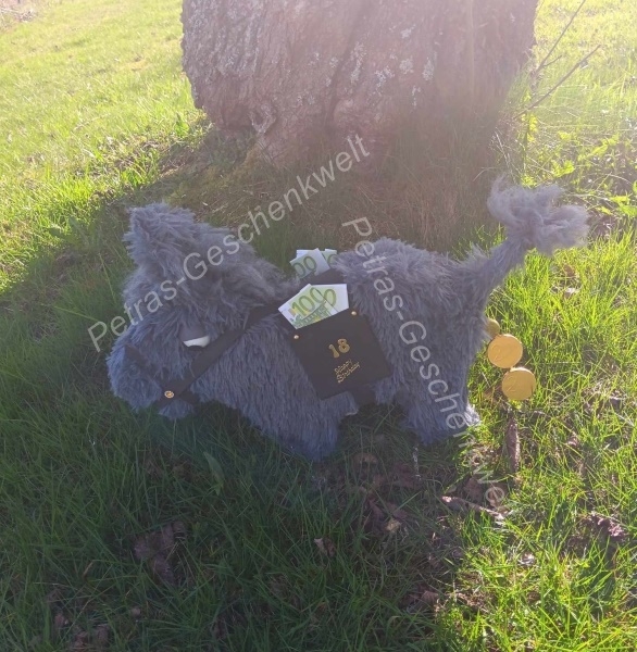 Goldesel Geldgeschenk zum Geburtstag